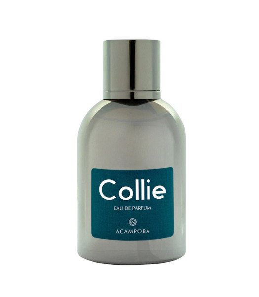 Оригинал Acampora Collie