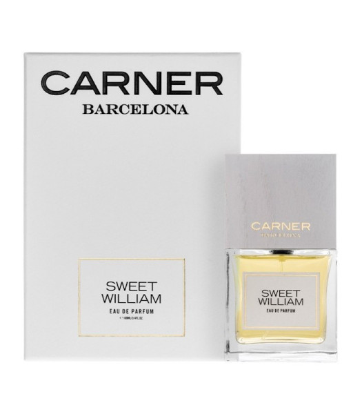 Carner Barcelona Sweet William